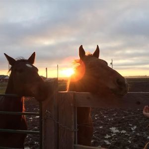 Meet your Posher, Na